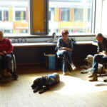 Atelier chiens d'assistance